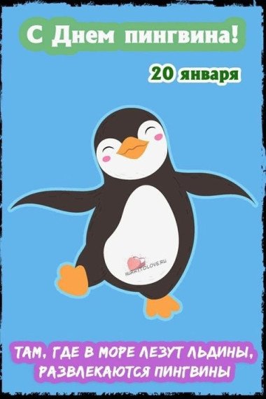 20 января – День пингвина..